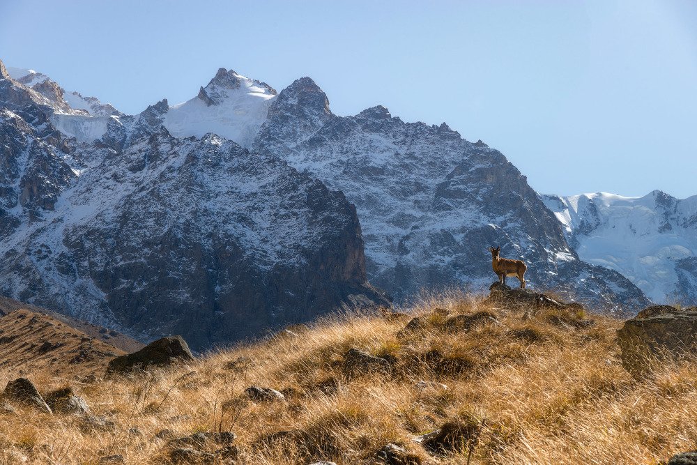 Фотография автора Шевченко Юрий