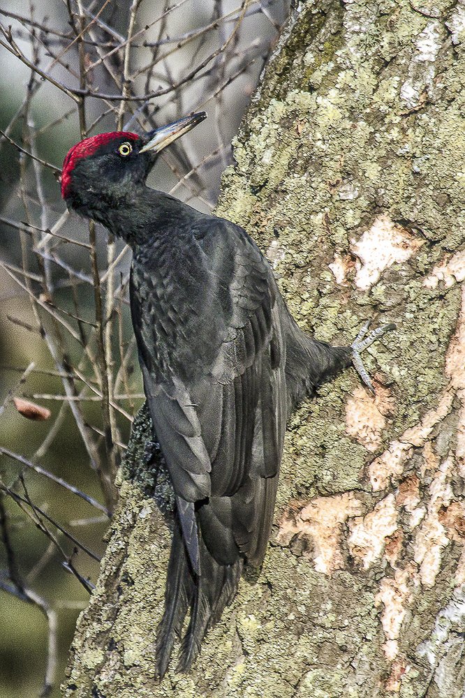 Photograph by Сергей Черных