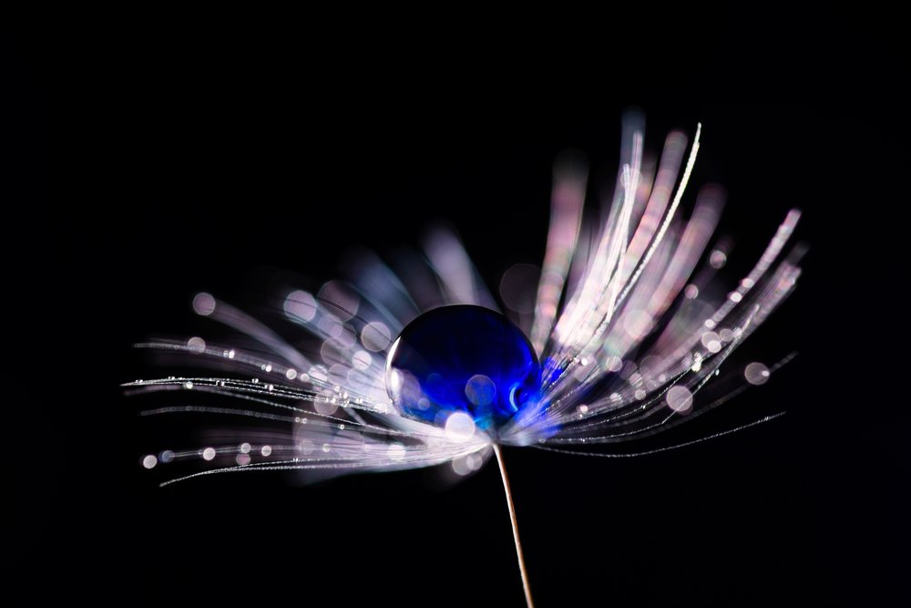 Фотография автора Андрей Сосновский