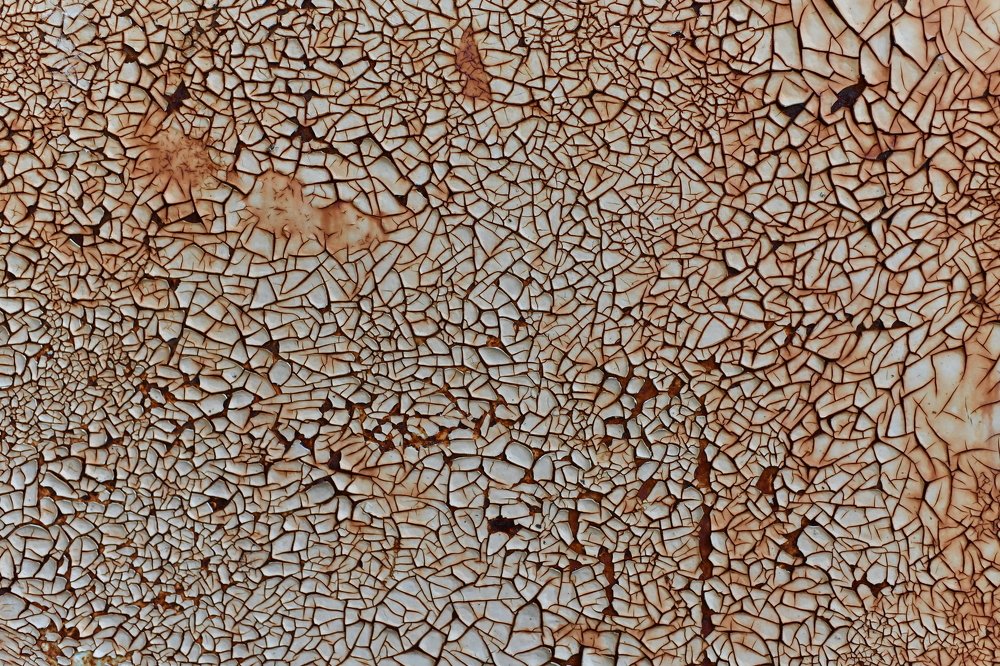 Photograph by Владимир Романов