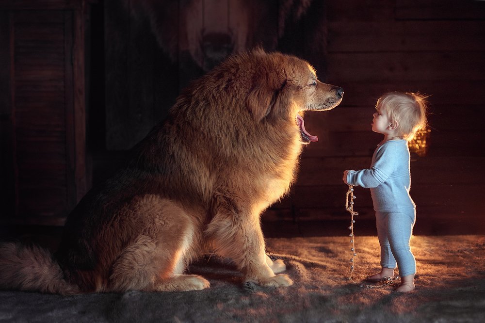 "У меня 5 зубиков. А у тебя сколько?"