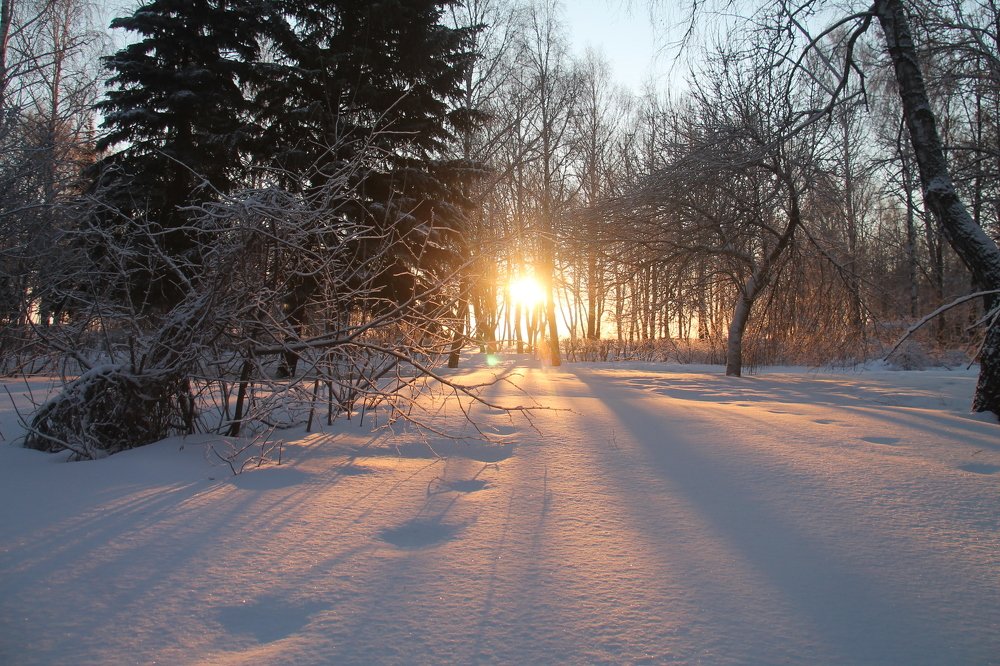 Photograph by Игорь Улитин