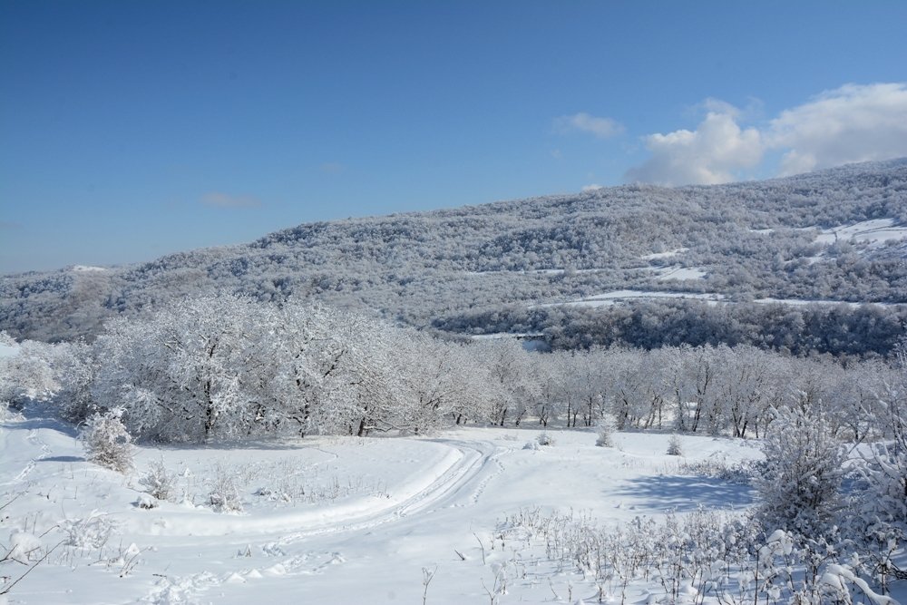 Зимний пейзаж