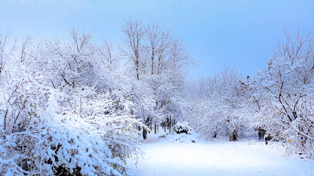 Photograph by Mirela Velicu