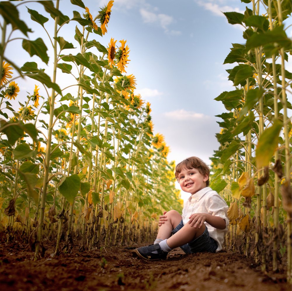 Когда деревья были большими