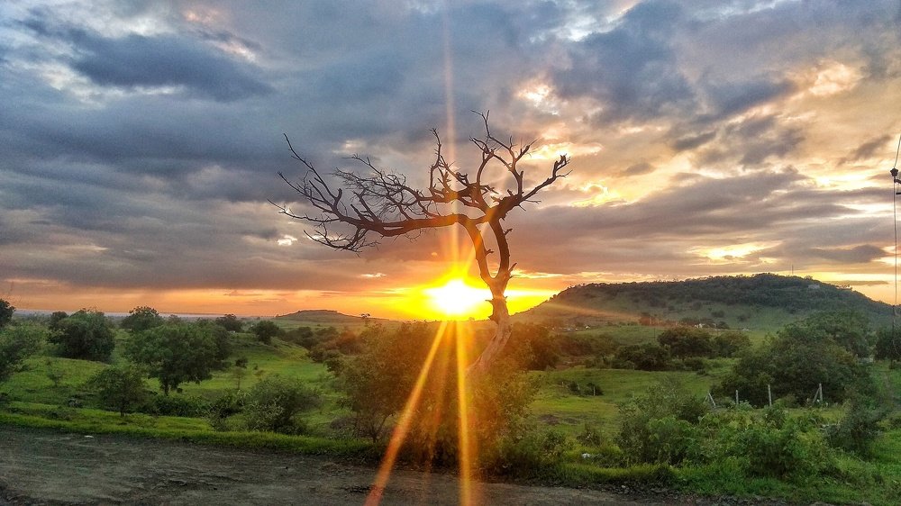 Photograph by Rahul Jagtap