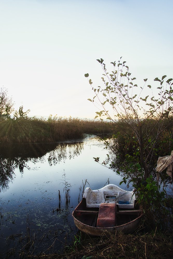 Photograph by shahin ghafari