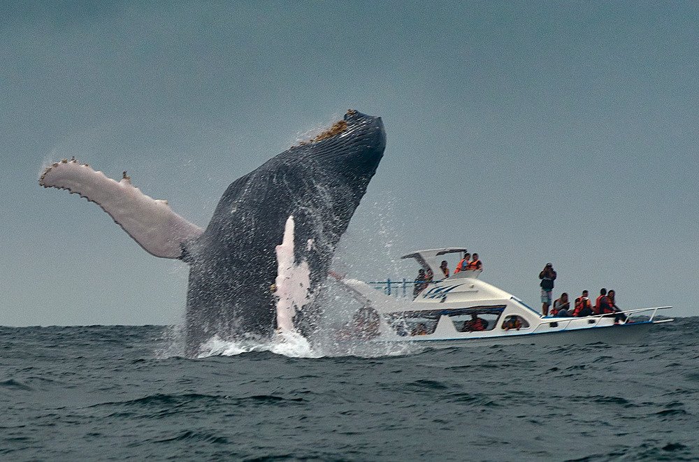 Photograph by Edison Ruilova