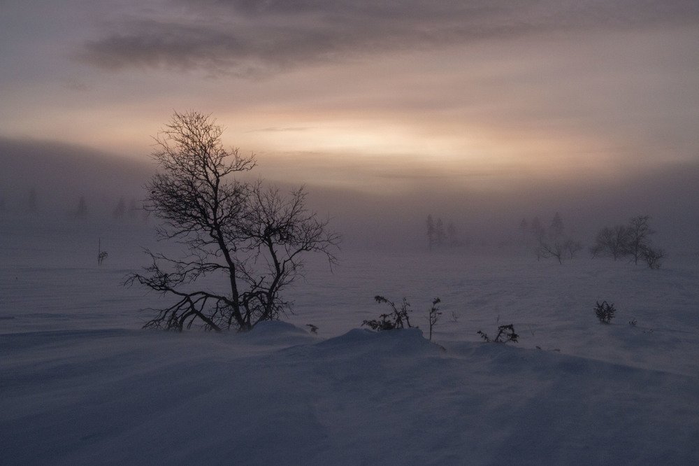 Photograph by Родион