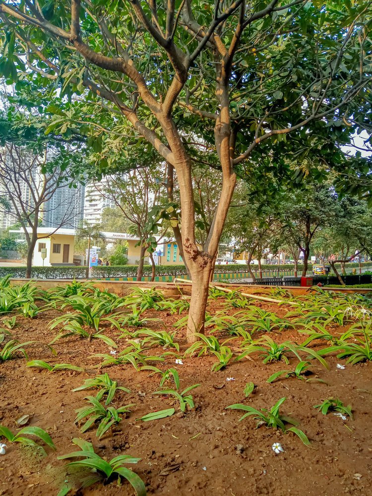 Photograph by Shweta Kambale