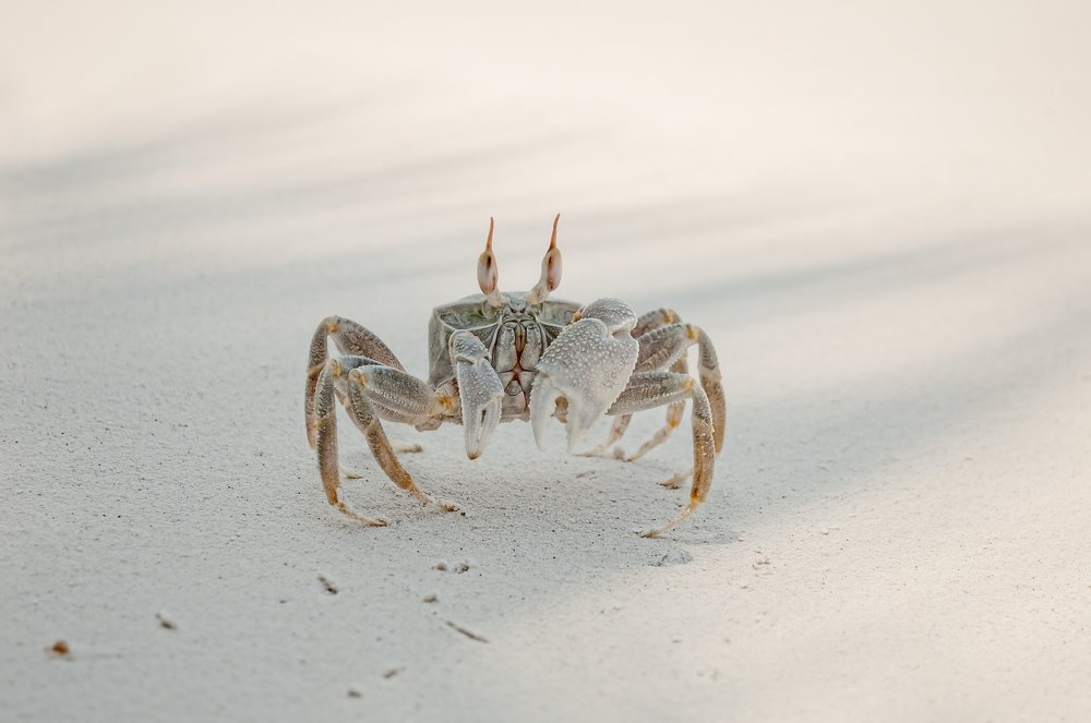 Photograph by Иван Русак