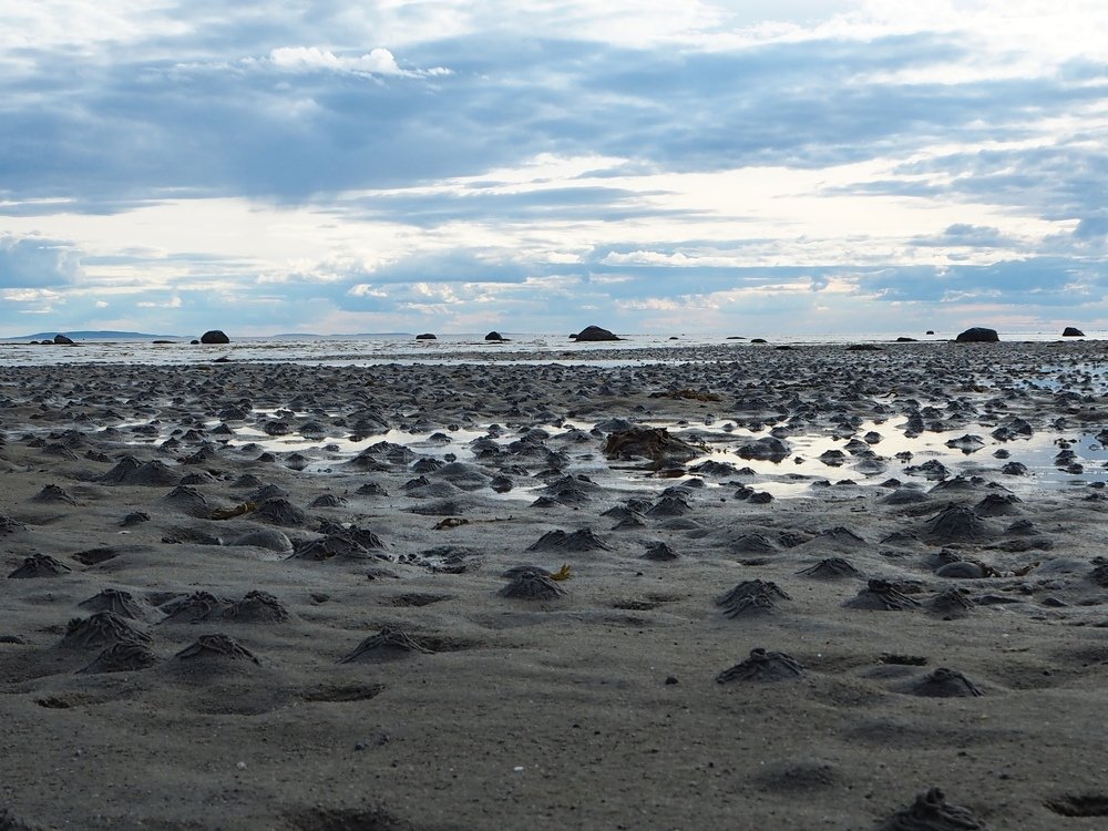 Photograph by Надежда Меркулова