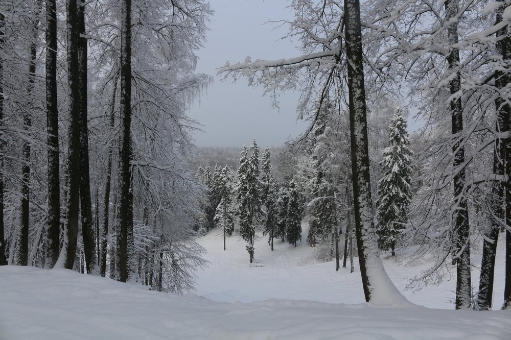 Photograph by Александр Морозов