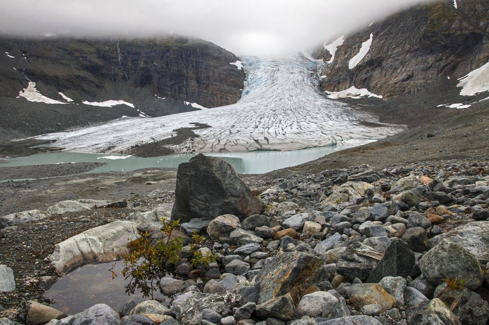 Photograph by Родион