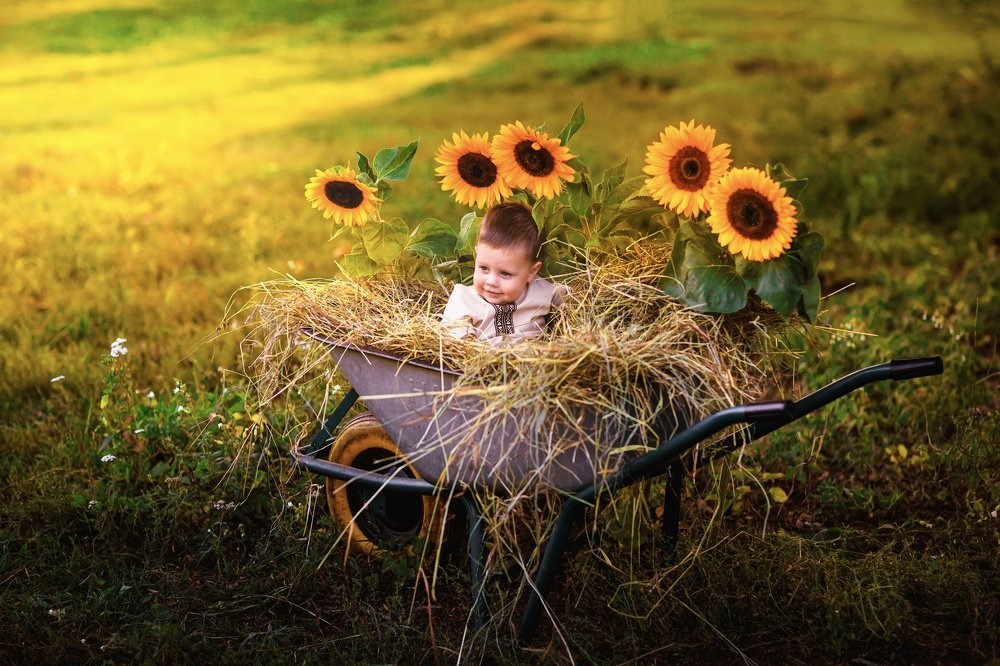 Photograph by Ника Егорова