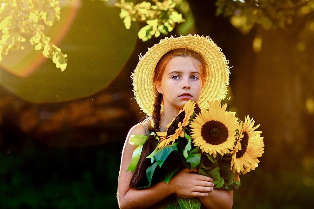 Подсолнухи