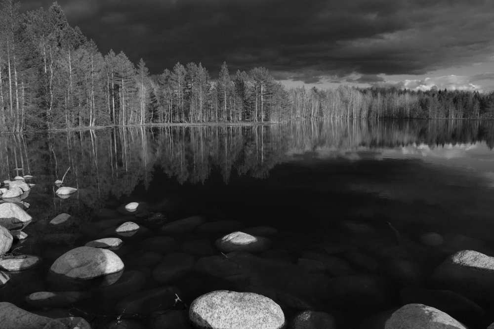 Лесное озеро.