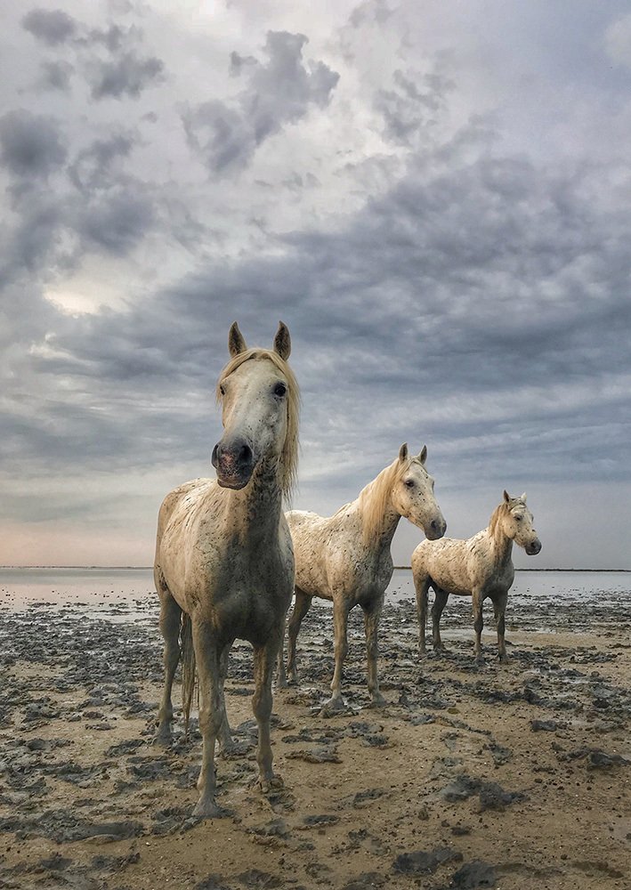 Photograph by Галина Ломако