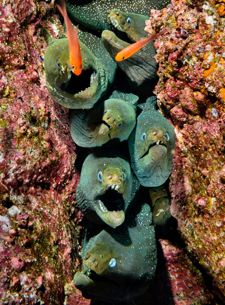 Photograph by Juan Murillo