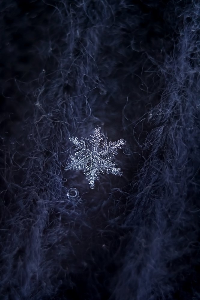 Photograph by Наталья Мищенко