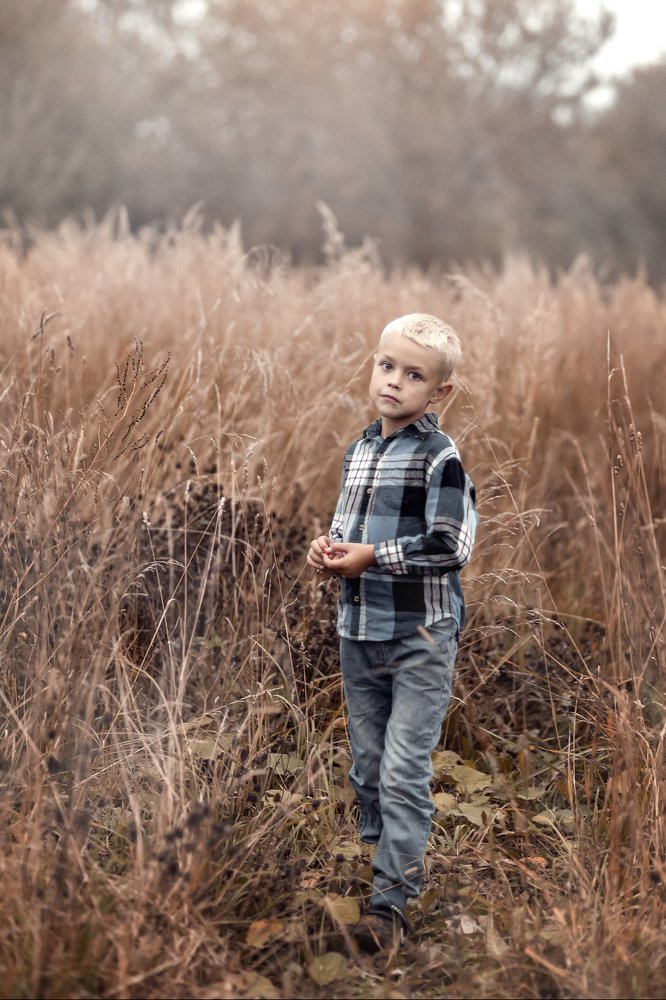 Вечер в деревне.