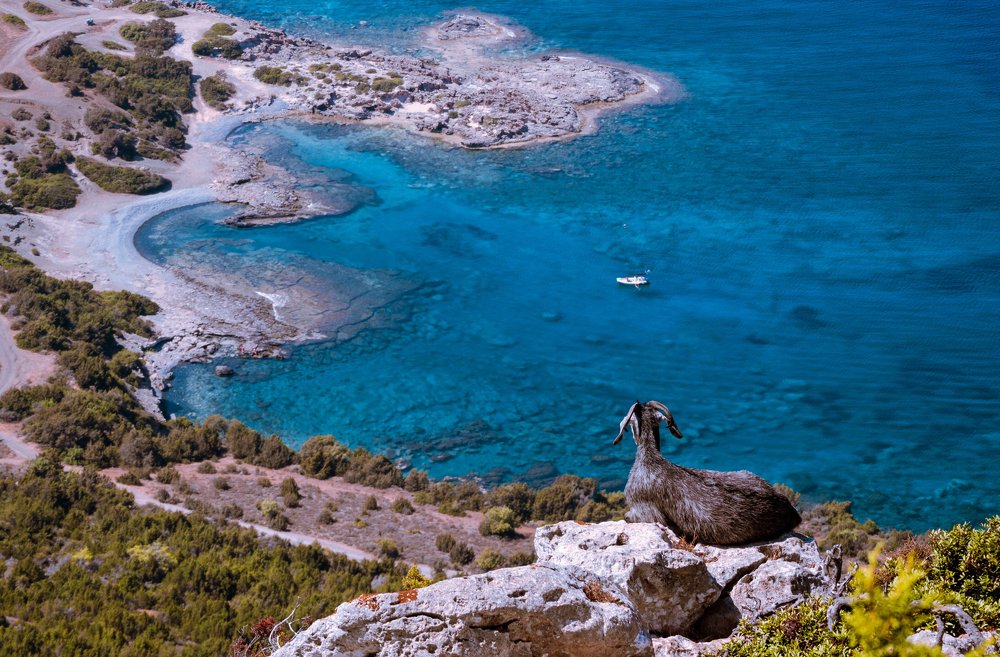 Photograph by Igor Gorshkov