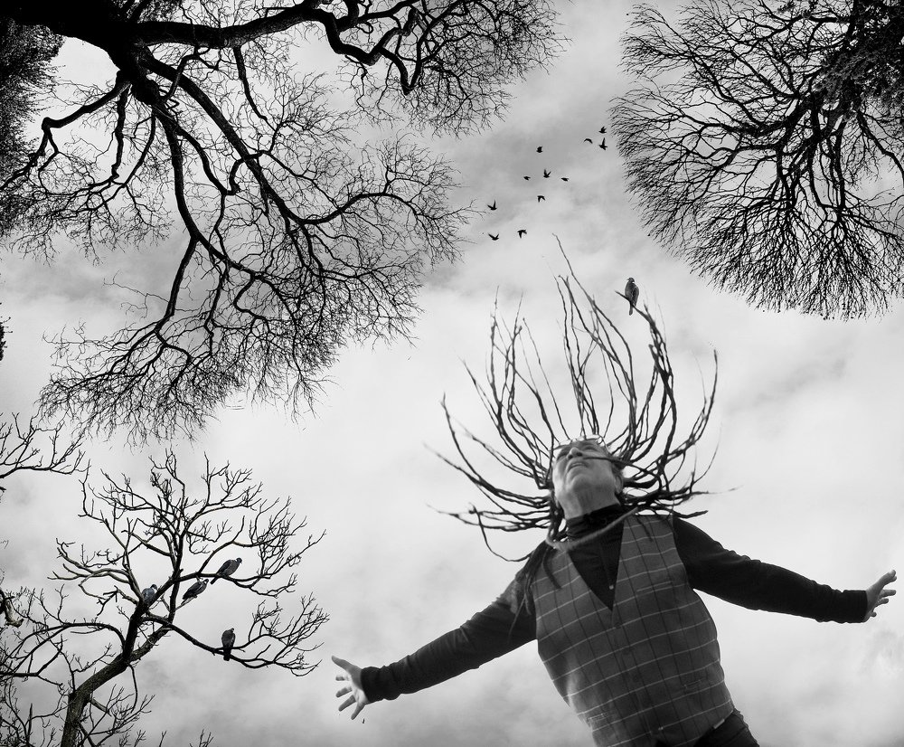 Winter trees... Noel McCalla, great soul/rock/jazz singer.