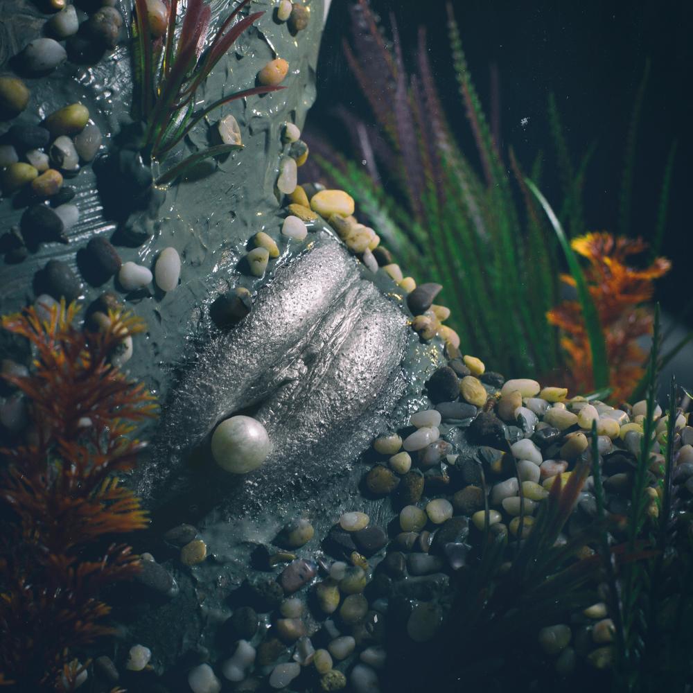 Photograph by Леонид Мочульский