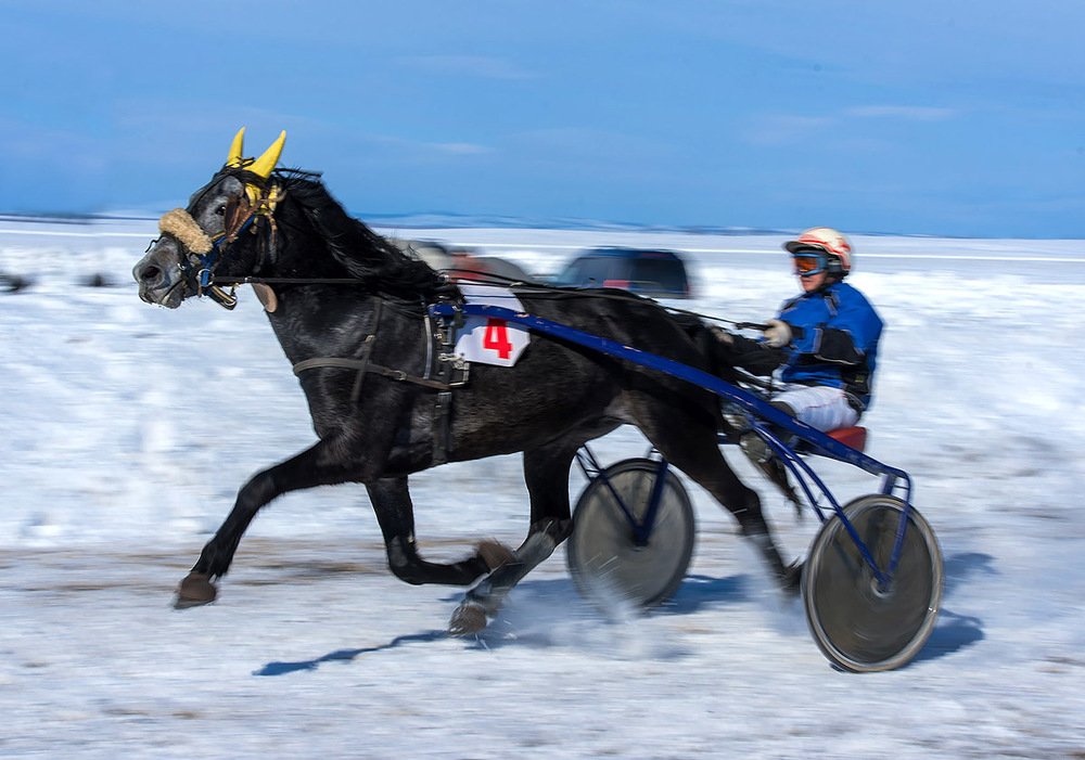 Photograph by Людмила Ковалева