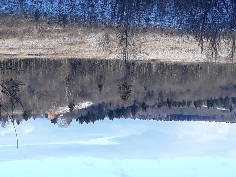 Photograph by Людмила Чурсина