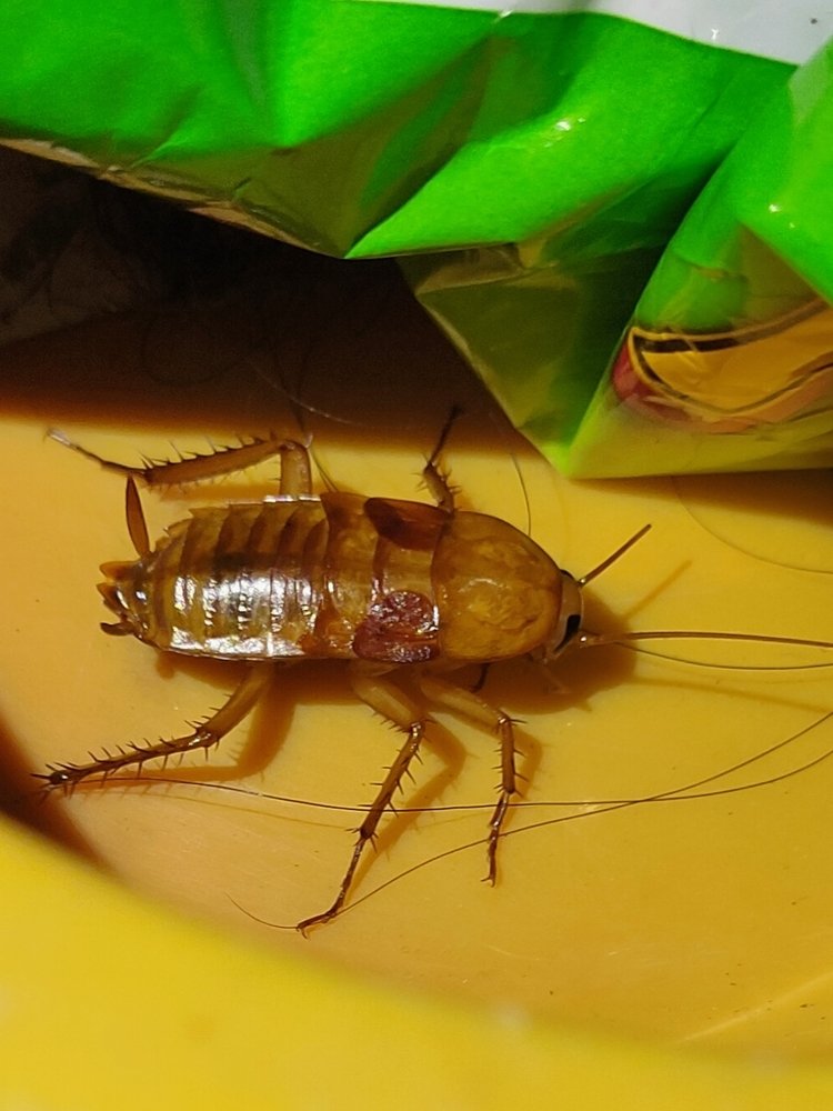 Photograph by Hemendra D