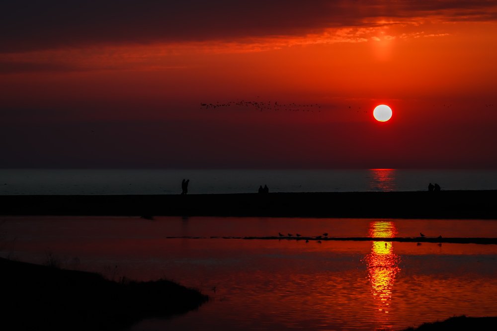 Photograph by Валерия Козловская