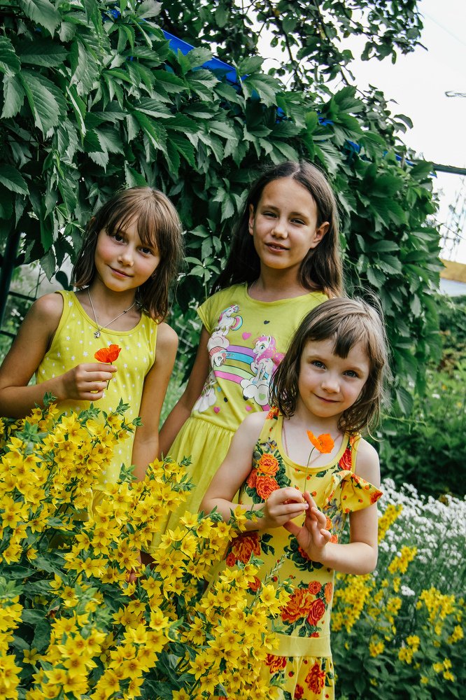 Желторотики