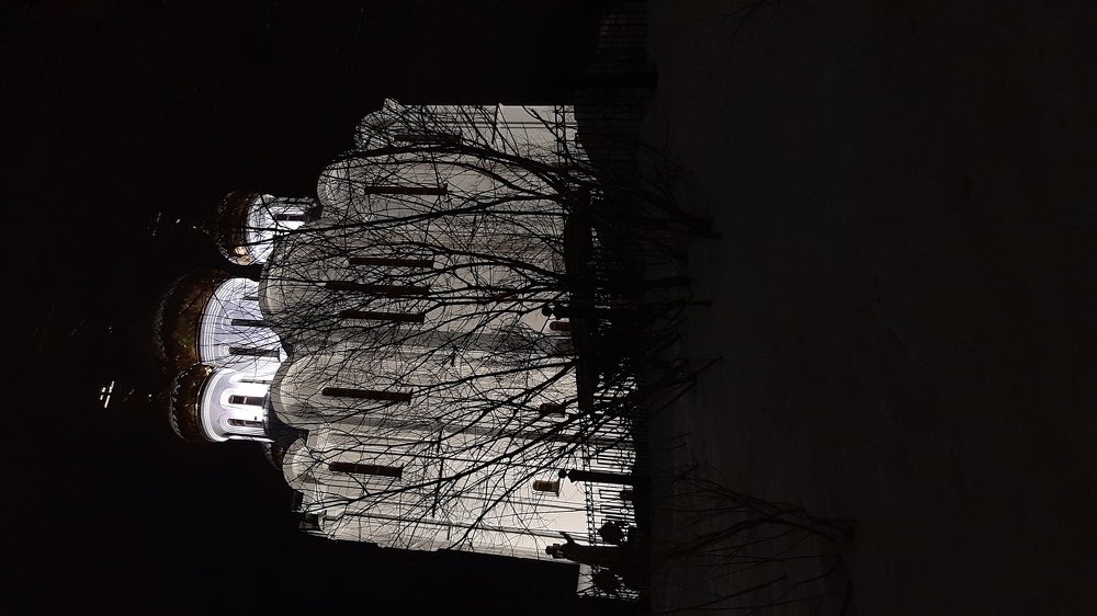 Photo #4431819