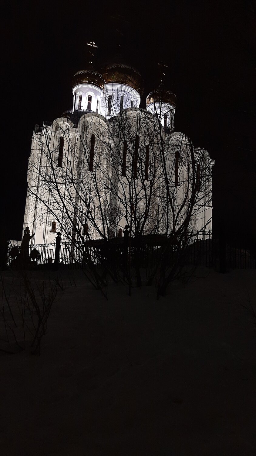Photo #4431819