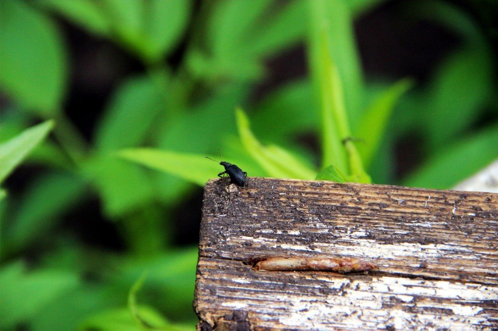 Photograph by Ксения