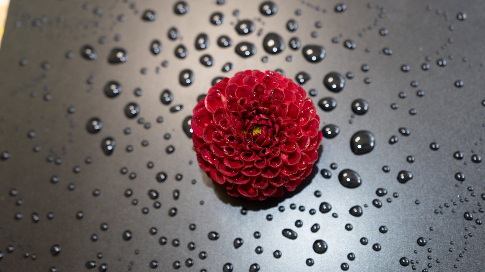 Photograph by Алина КАШКАВАЛ