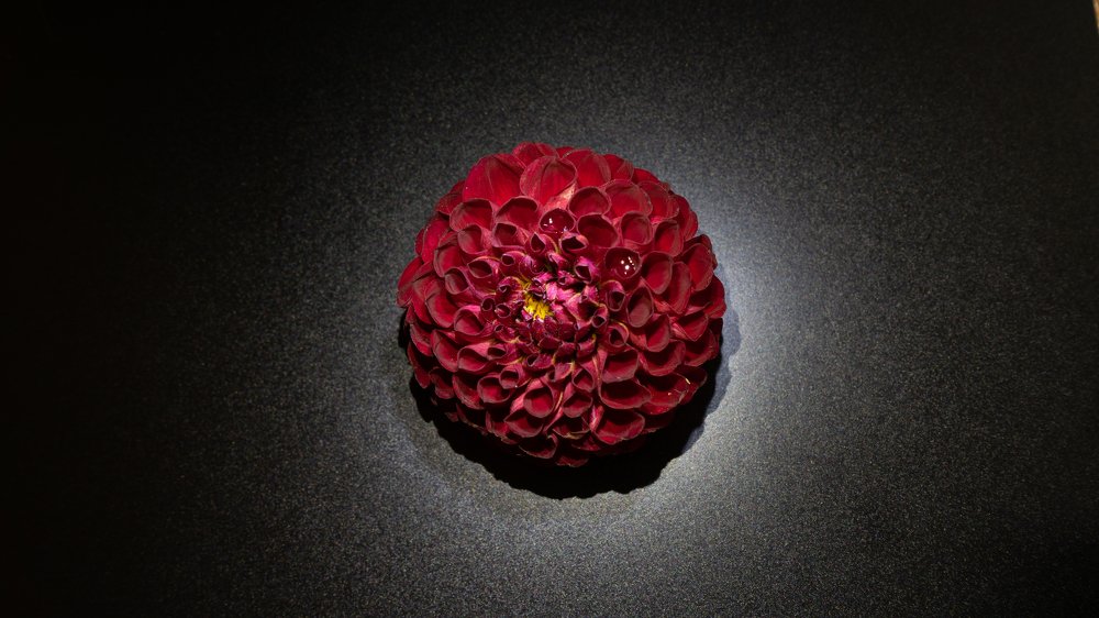 Photograph by Алина КАШКАВАЛ