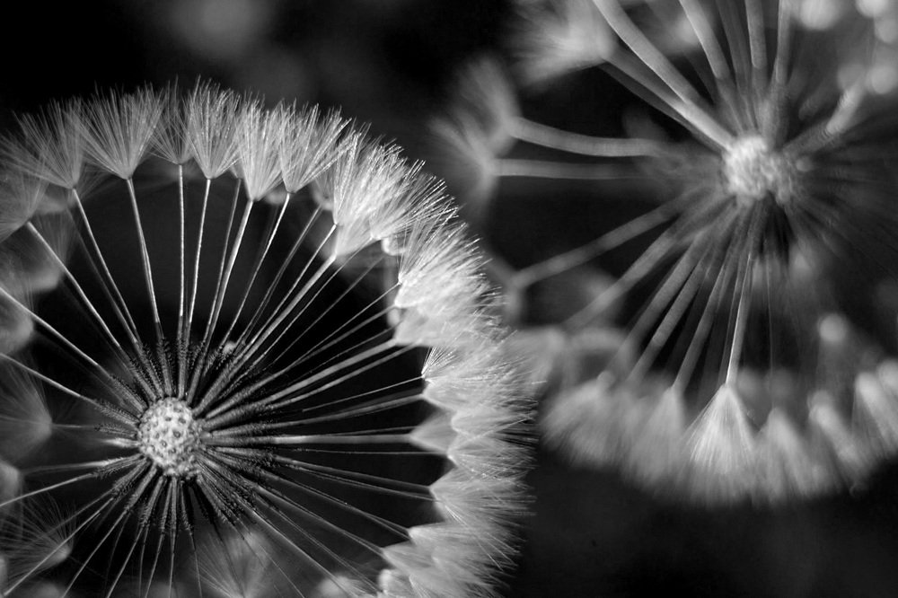 Шестерни души