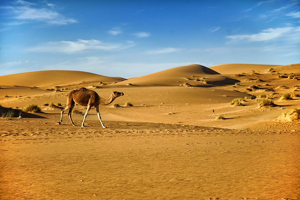 Photograph by Javier Polanco