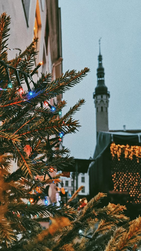 Photograph by Александра Гордеева