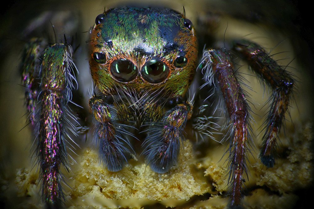 Photograph by pradeep mohanty