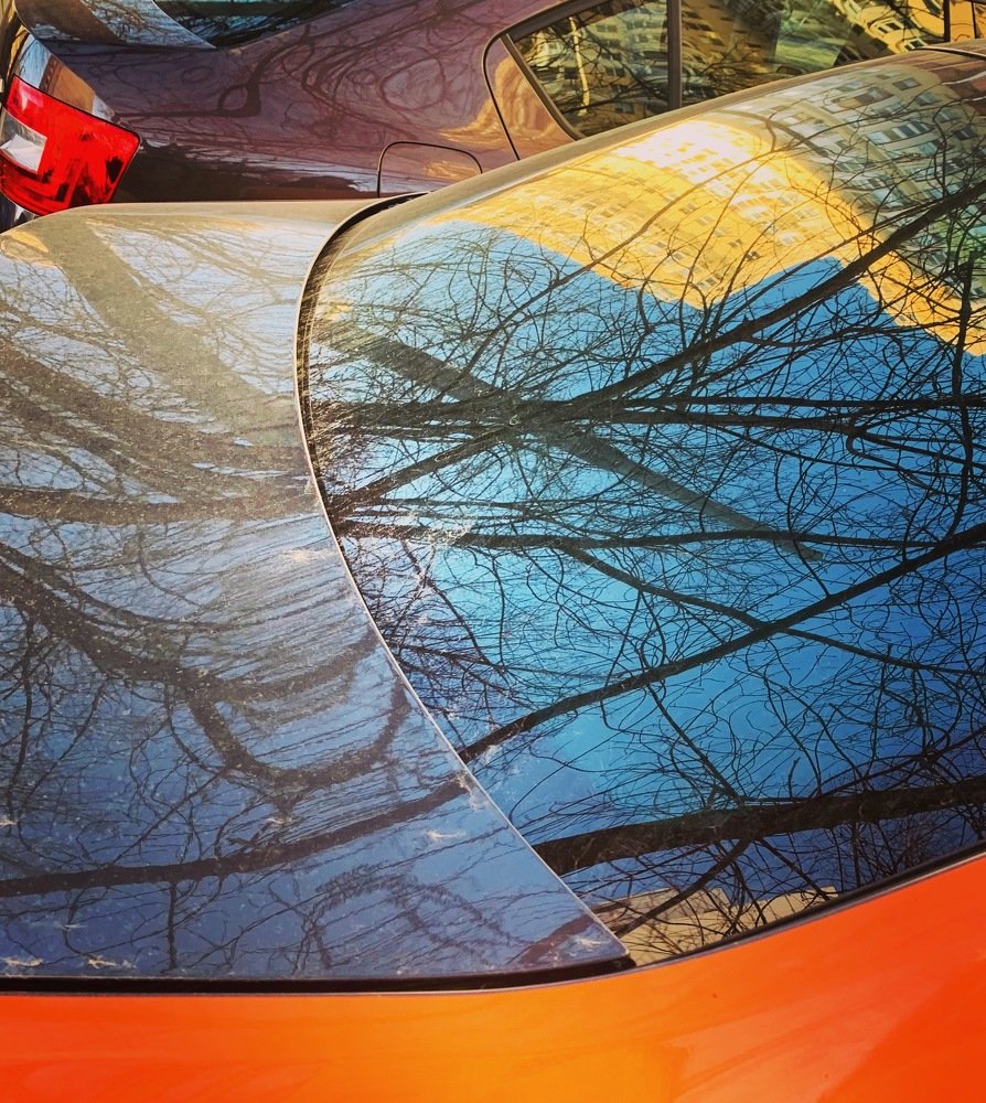 Photograph by Слава Ольшевская