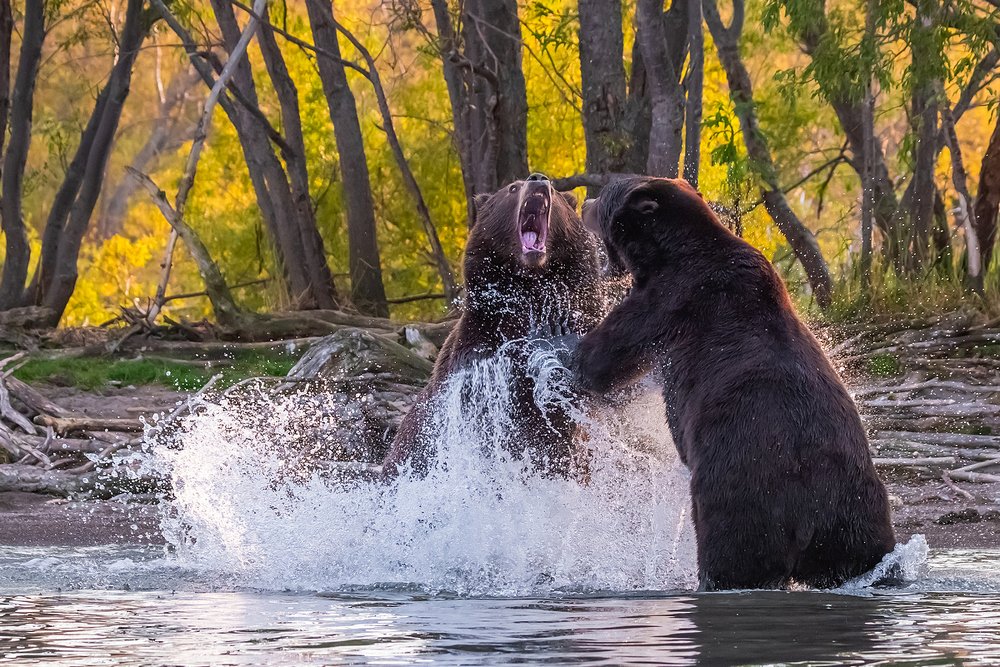 Photograph by Екатерина (PhotoJourneys.ru) Васягина