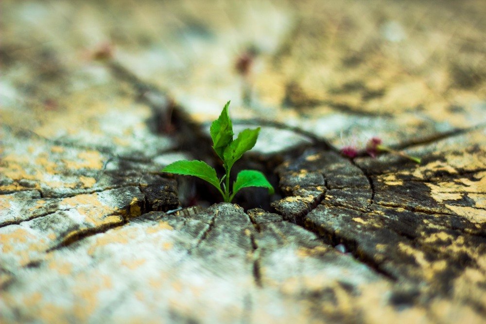 Photograph by Василий Шахмаев