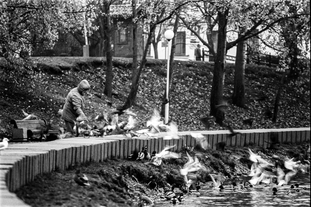 Photograph by Игорь Слабухо