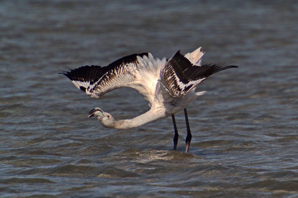 Поклон вам, севастопольцы!