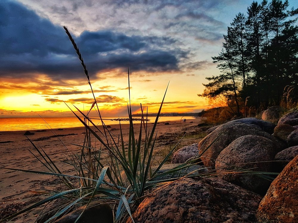 Photograph by Ирина Шумкова