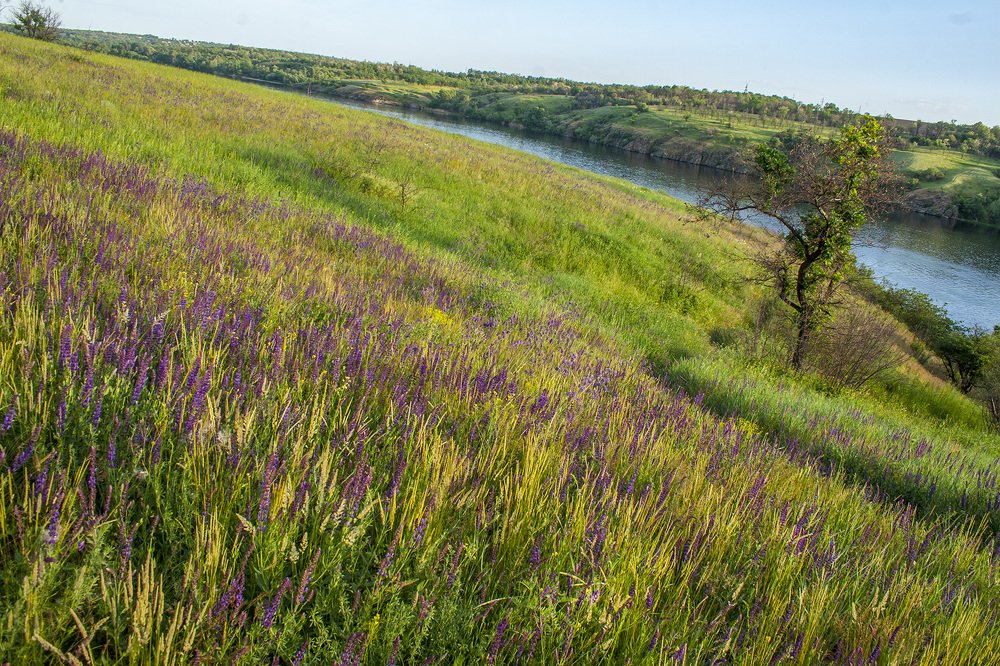 Волшебная тропинка