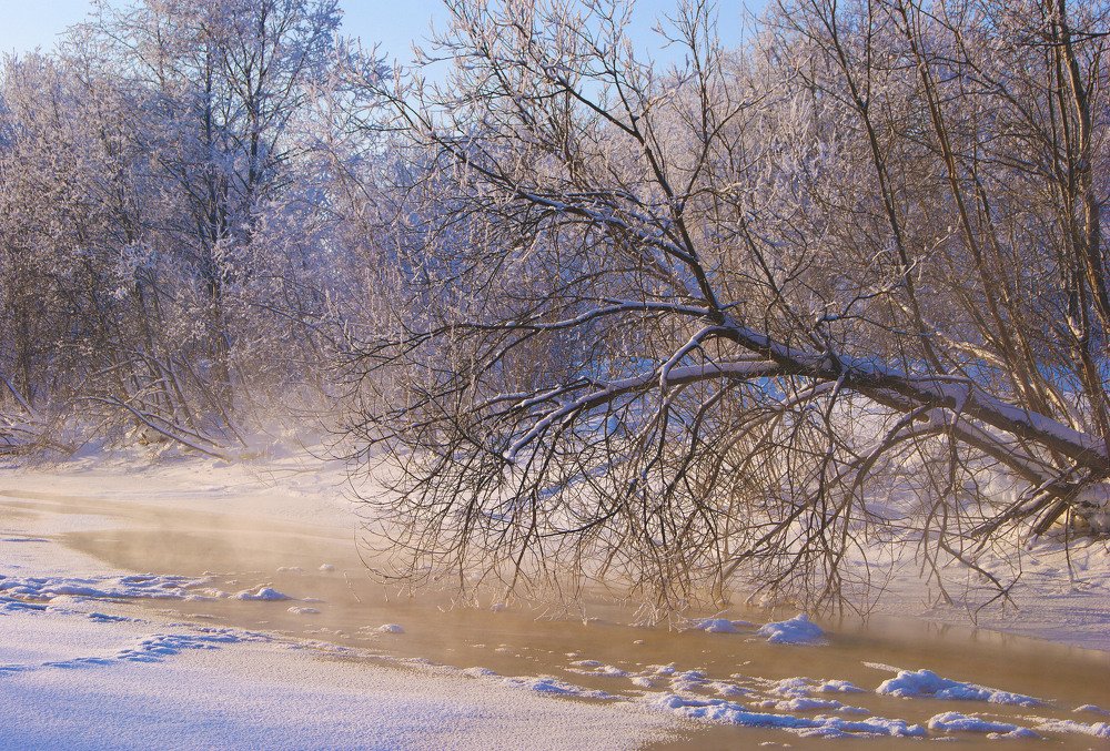 "Морозное утро"